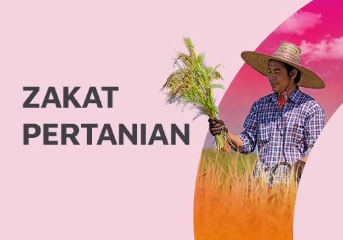 Zakat Pertanian Bersama Investkuy