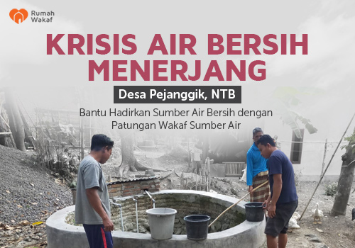 WSA Desa Pejanggik NTB