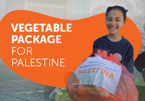 Vegetable Package For Palestina